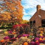 Cantigny Park