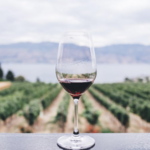 The Austin Winery