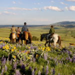 Horseback Riding