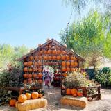 Live Oak Canyon Farm