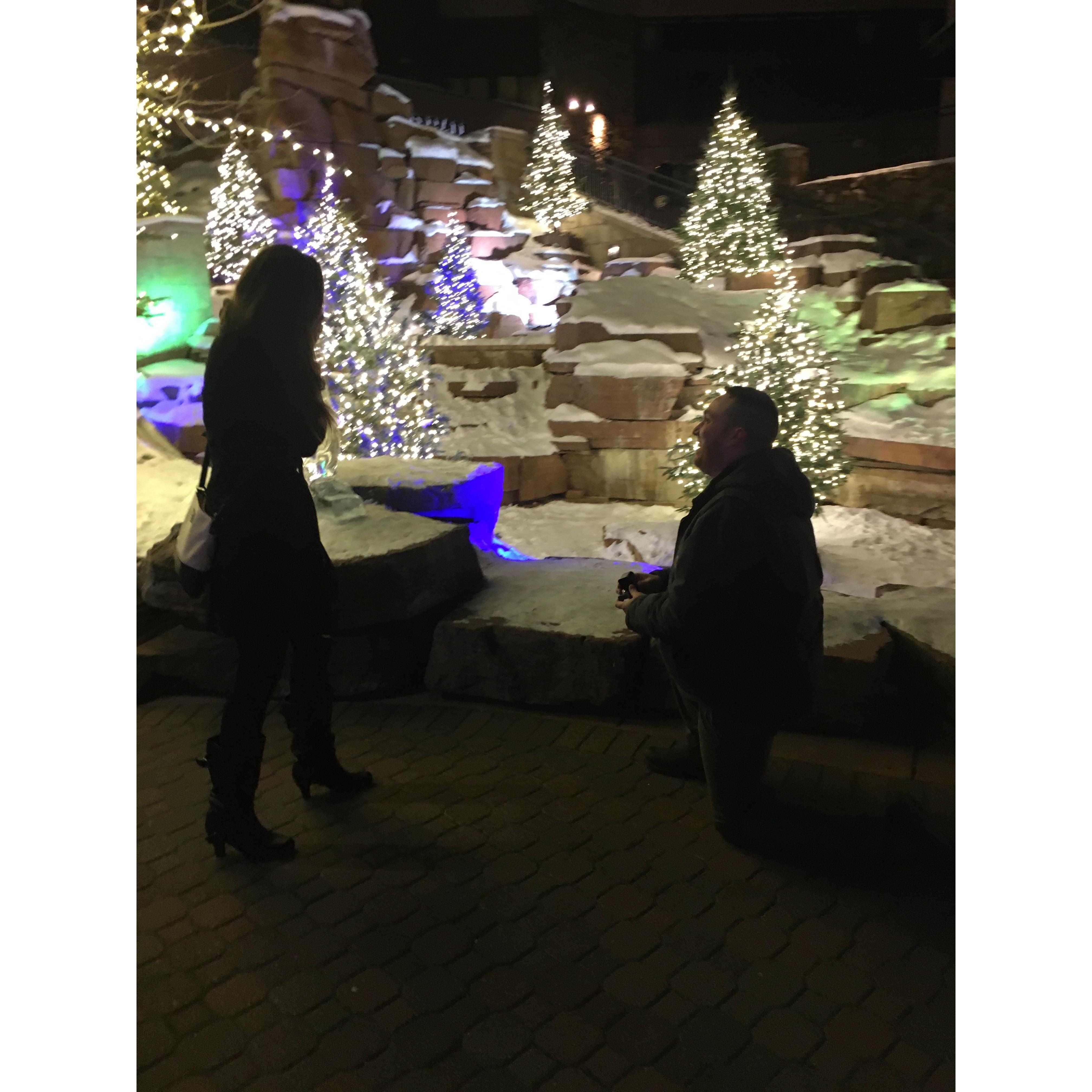 The Proposal!!!