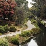 UC Davis Arboretum and Public Garden