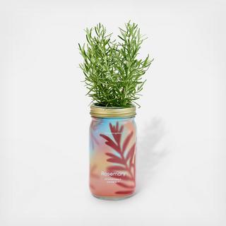 Herb Garden Jar Kit