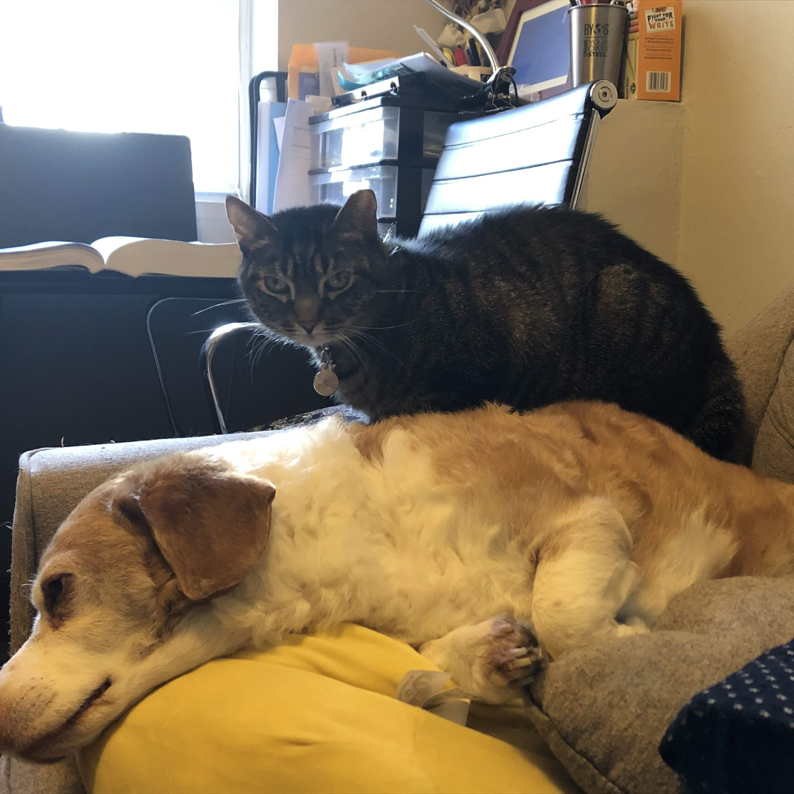 Eventually they love each other