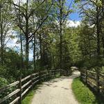 Fort to Fort Trail