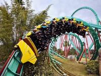Busch Gardens Tampa Bay