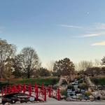 Lake of the Woods Forest Preserve