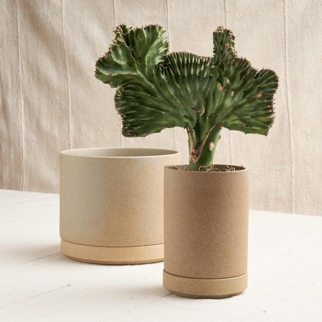 Skinny Planter in Unglazed Porcelain