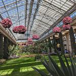 Longwood Gardens