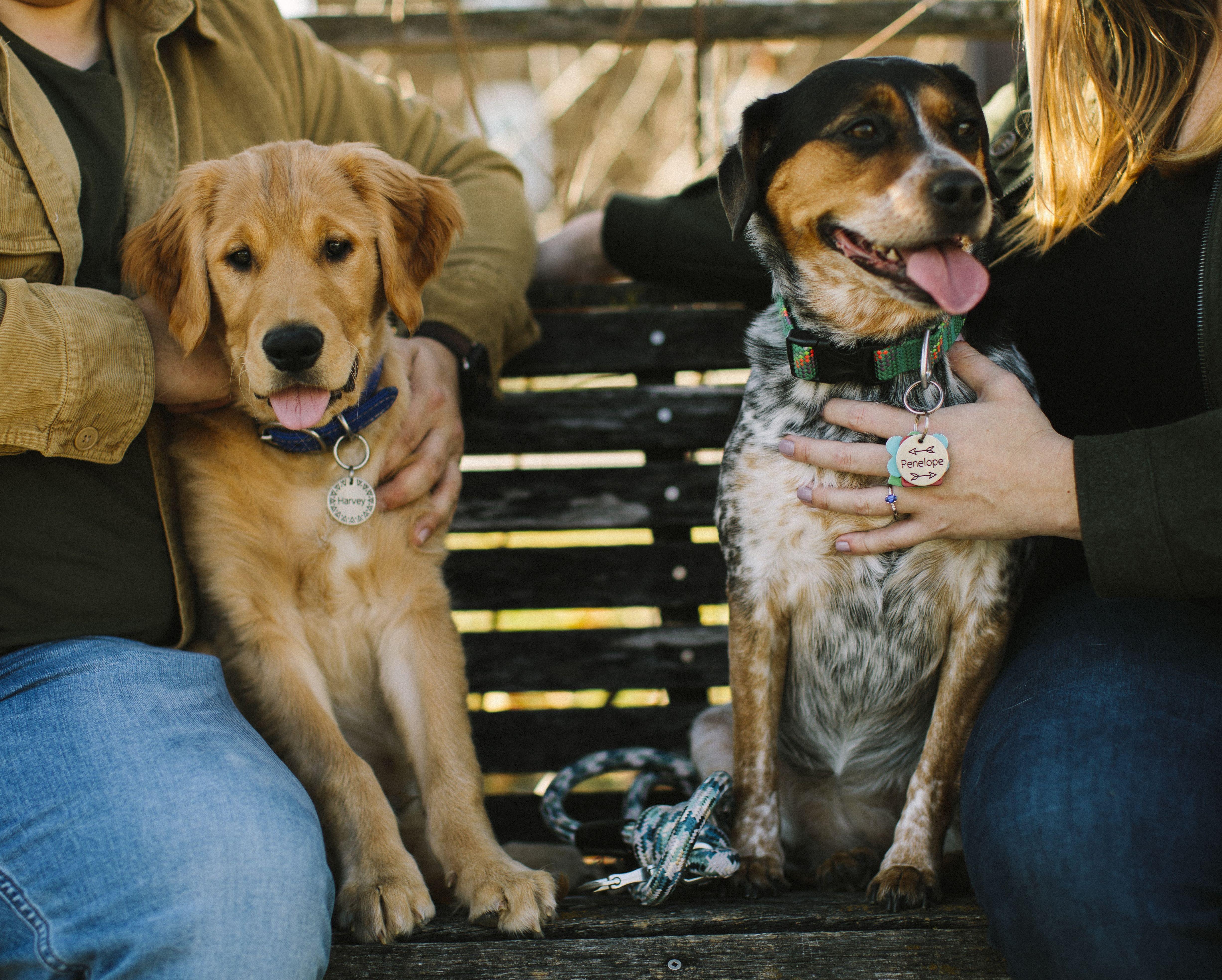 The Wedding Website of Maureen Owens and Bill Keitt