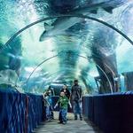 Greater Cleveland Aquarium