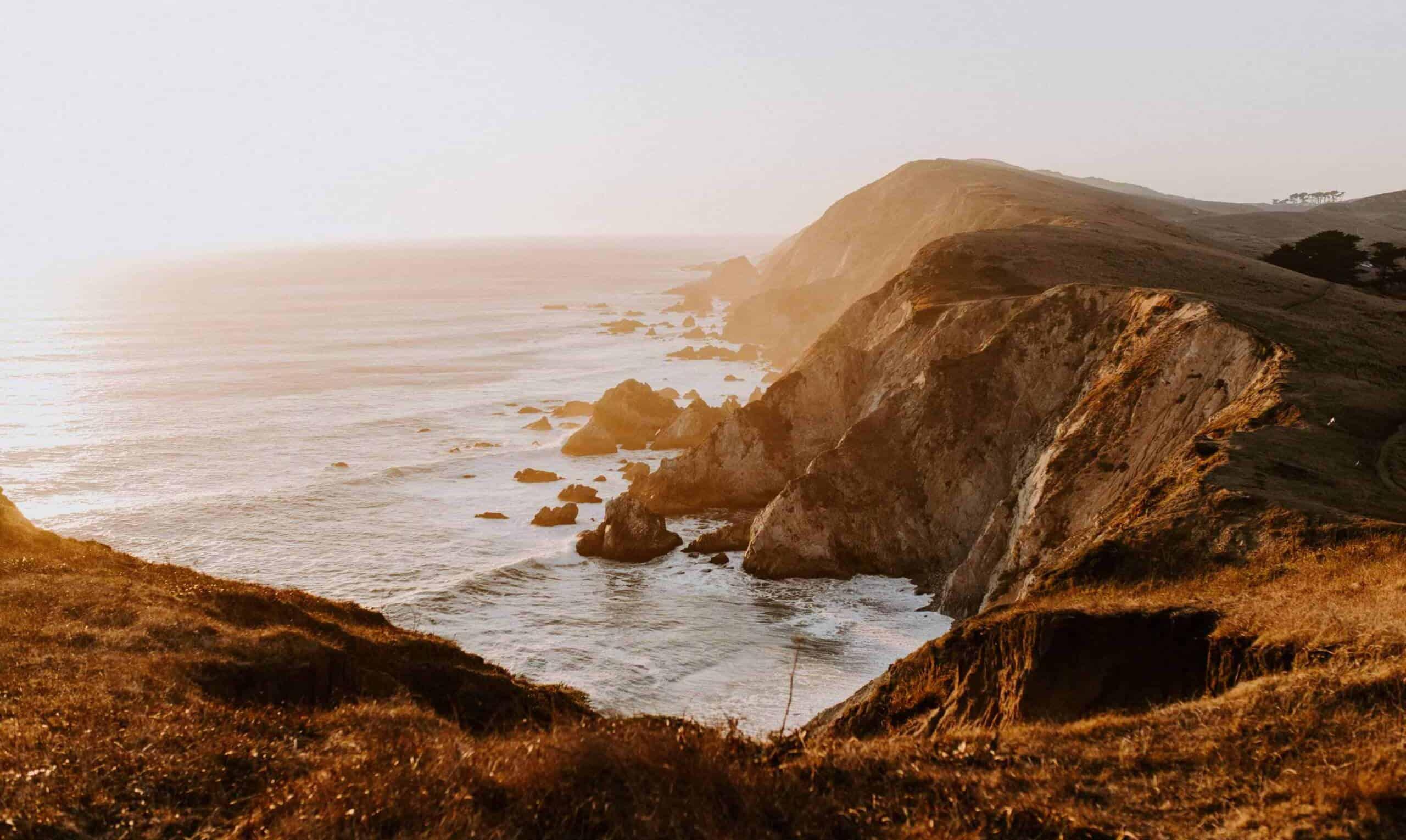 The Wedding Website of Rachel Caryn Baer and Liv Mae Costello