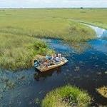 Everglades Excursion