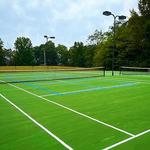 Pickleball/Tennis Court