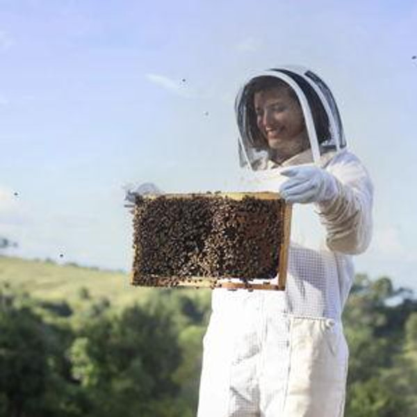Flow Bee Suit – Mesh - Size L