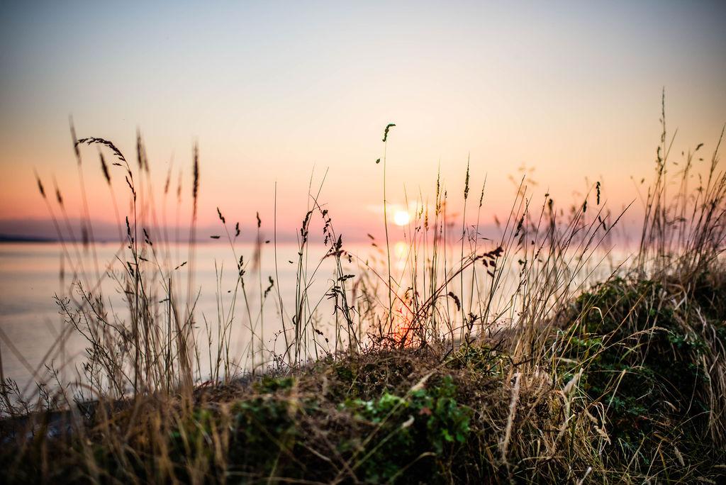 The Wedding Website of Julianne Slate and Jason Weaver