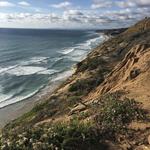 Torrey Pines State Reserve