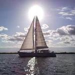 Fun Cat Sailing