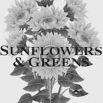Sunflowers & Greens
