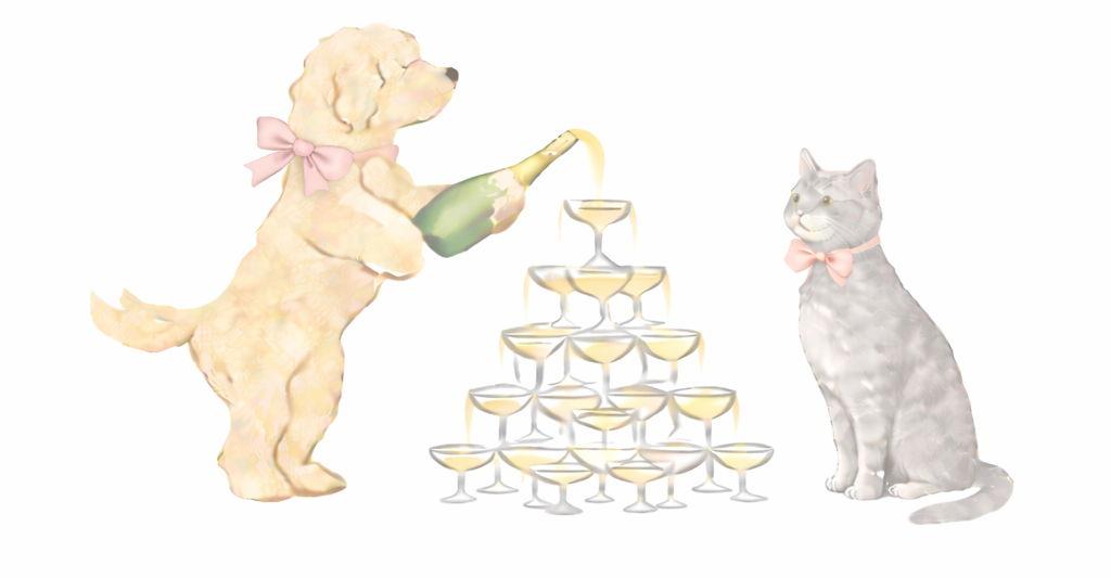 The Wedding Website of Polly Pay-Savage and Ashley Peyton