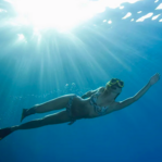 Roatan Yacht Club Diving