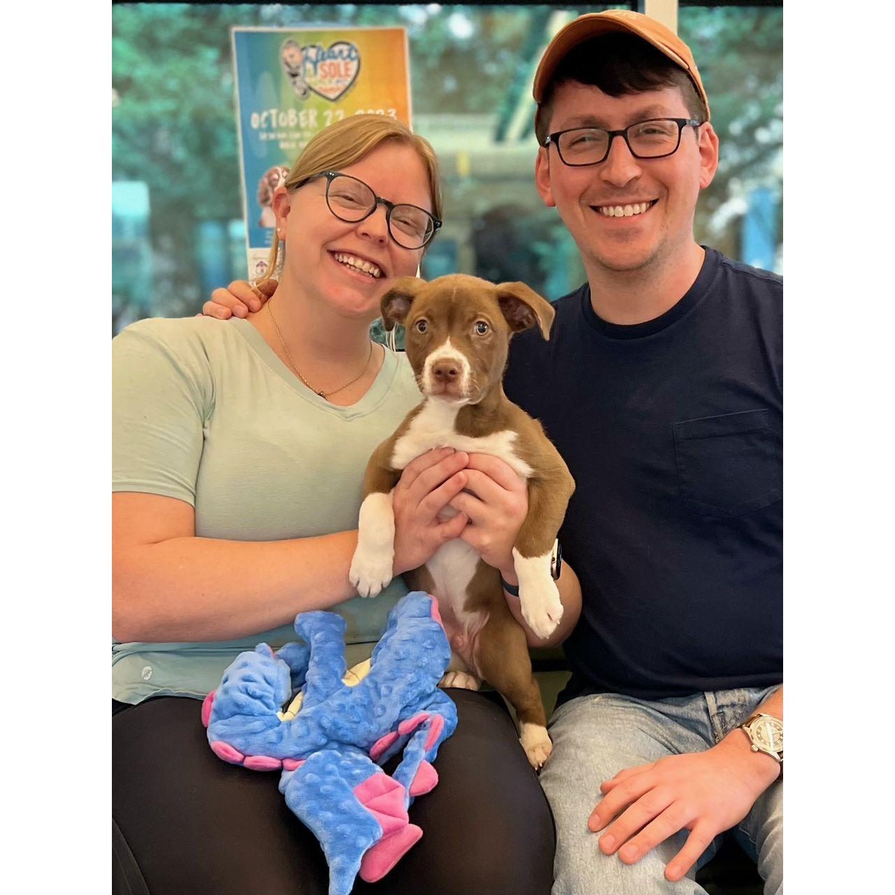 We adopted our pup Yoshi on 2/11/23 shortly after moving to RI in August 2023.