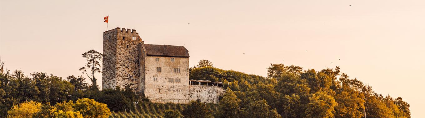 The Wedding Website of Manuel Hesselbarth and Sara Matter