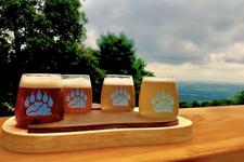 Bear Chase Brewing Company