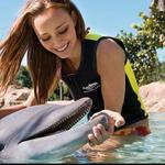 Discovery Cove