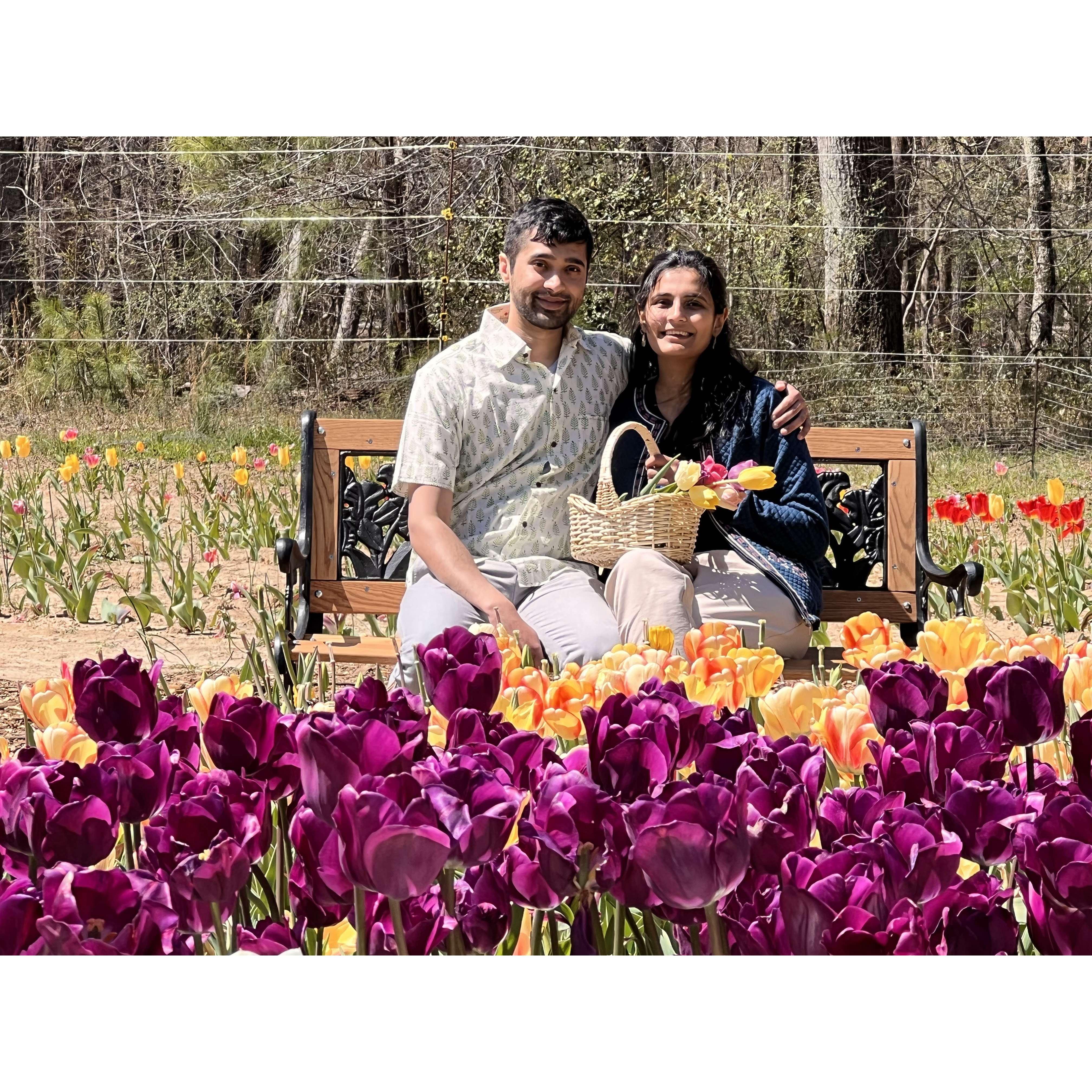 Love's a'bloomin'