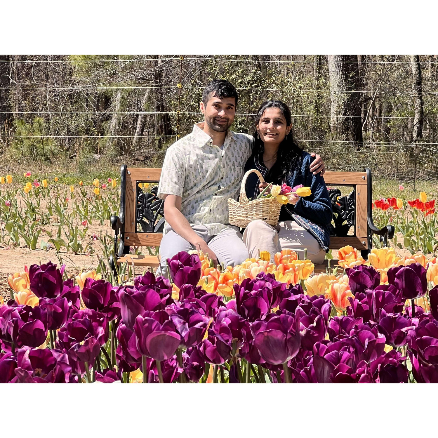 Love's a'bloomin'