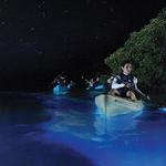 Bioluminescence Kayaking tour