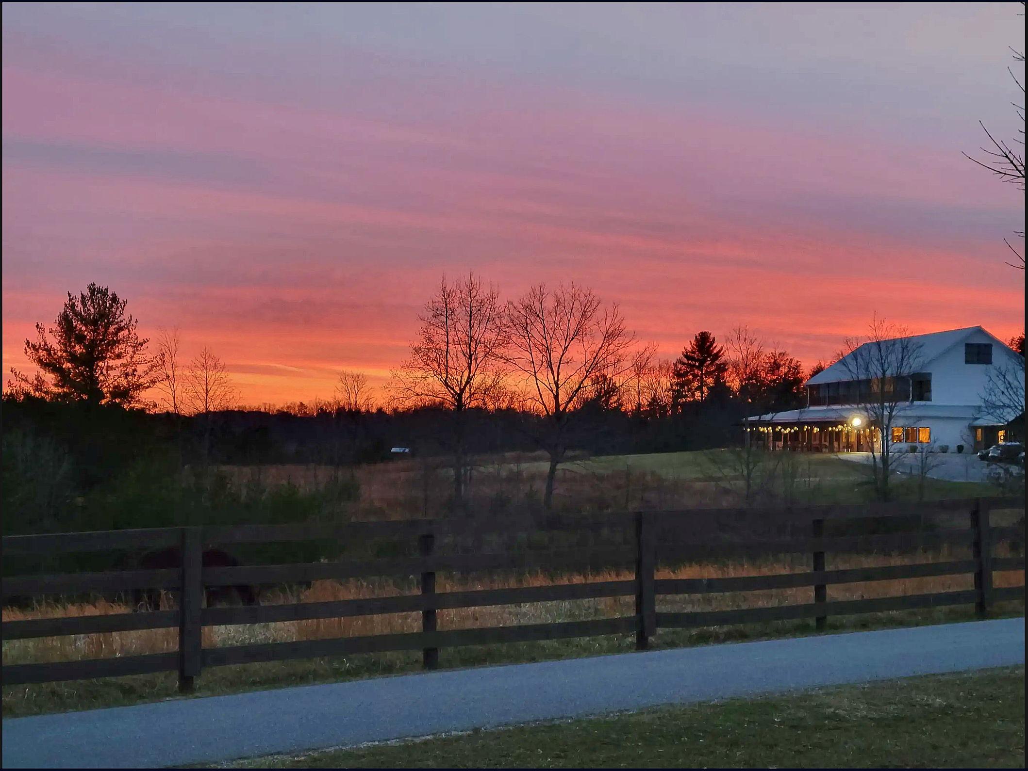 The Wedding Website of Carlos Taylor and Grace Wiseman