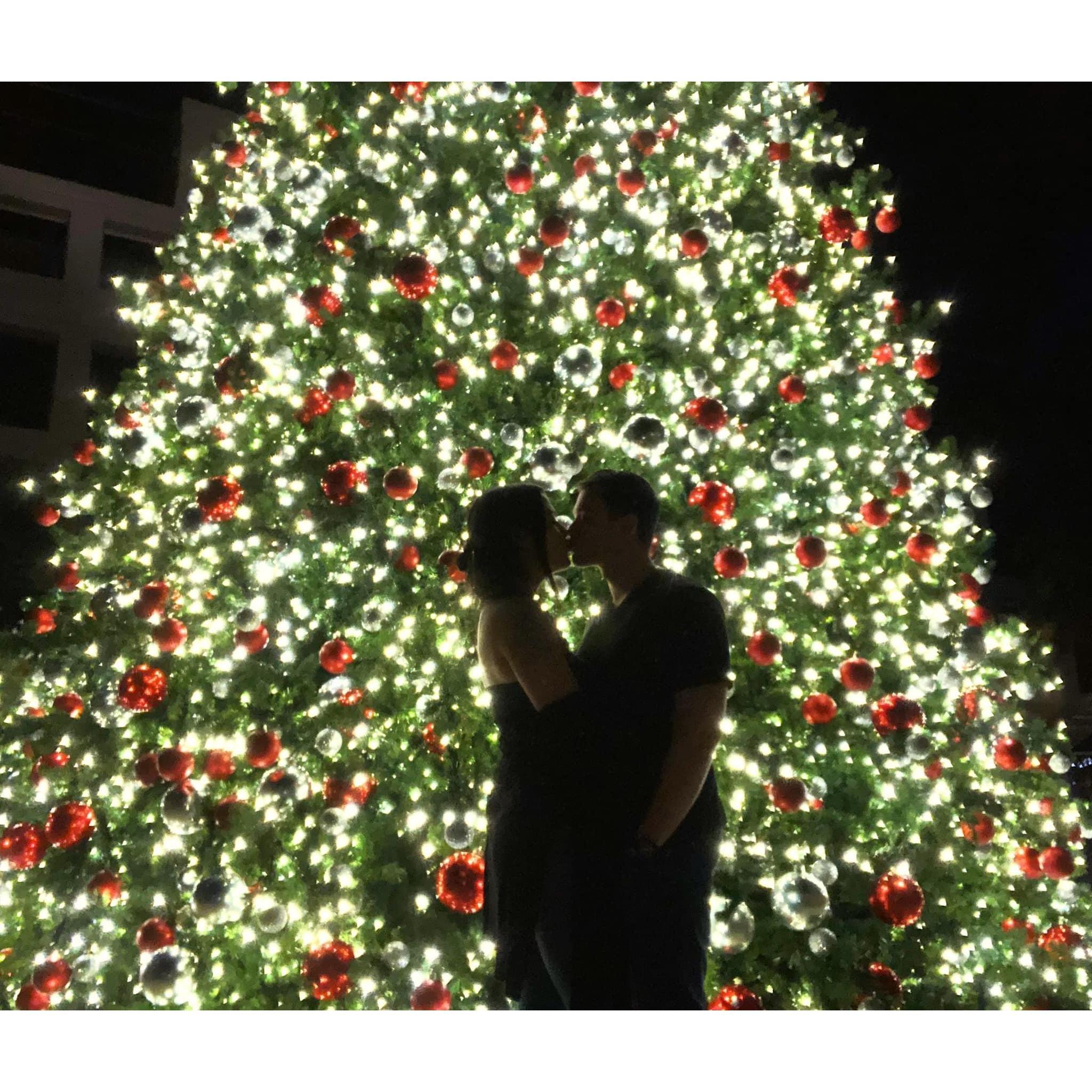 Christmas time. Boca Raton, FL 2019