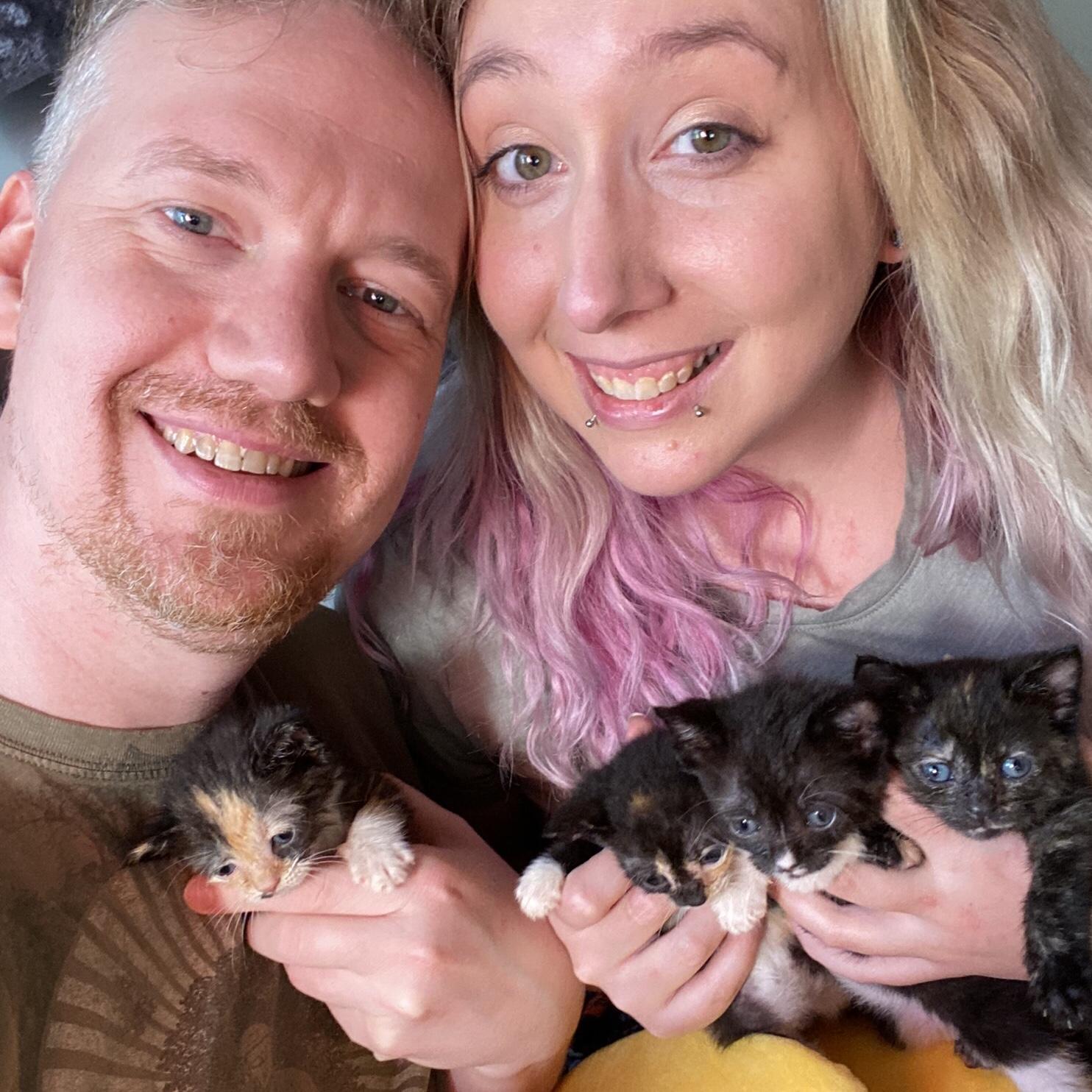 Kittens! | 2020