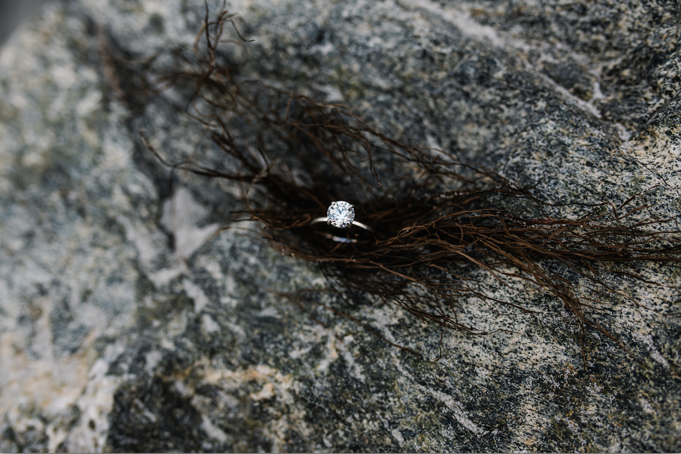 The Wedding Website of Rachel Ordway and Matthew Chatelain