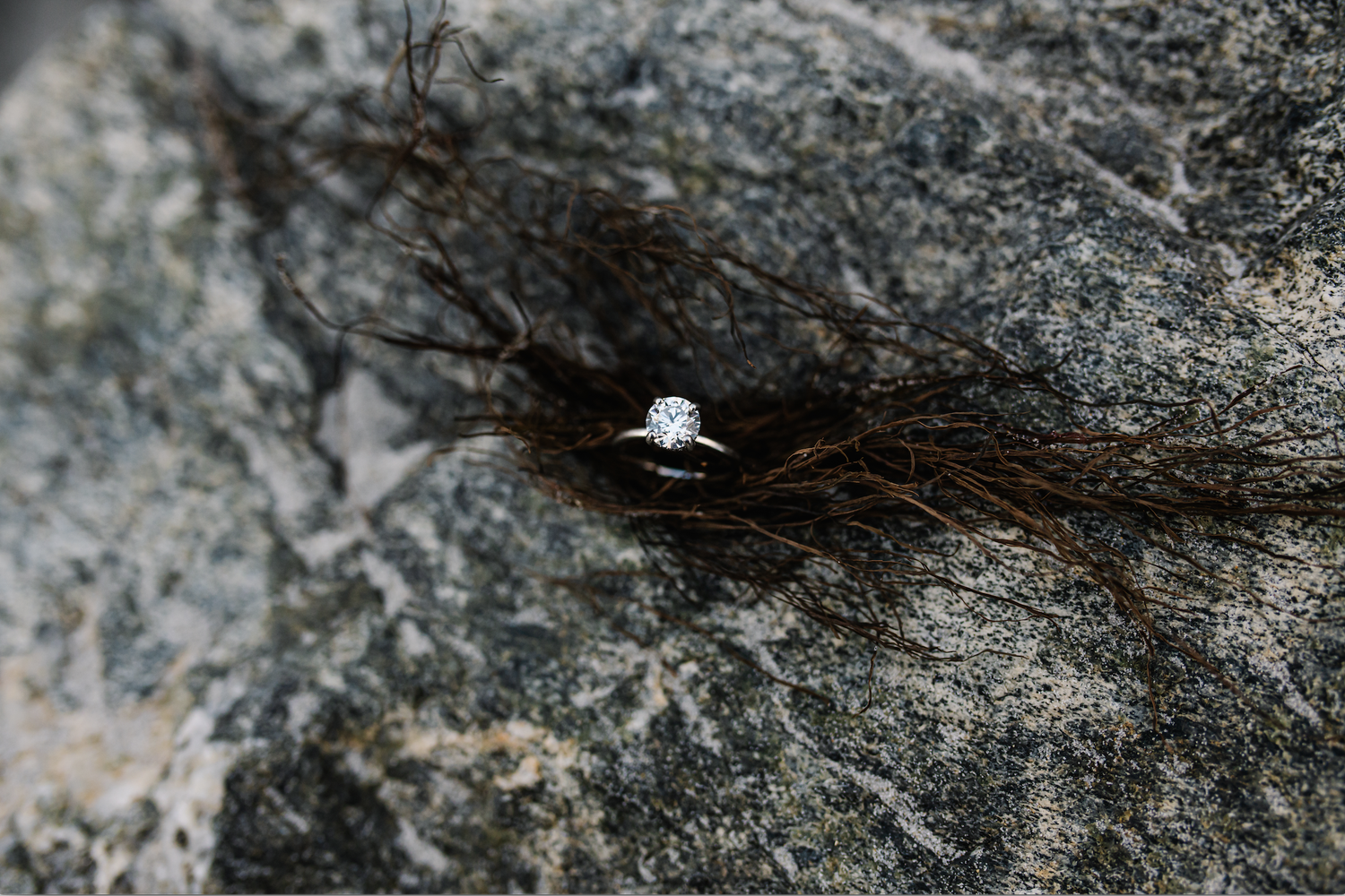 The Wedding Website of Rachel Ordway and Matthew Chatelain