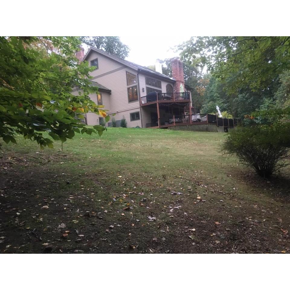 Location for the big day! No worries the side yard has been leveled to fit over 200 people!