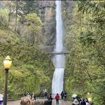 Multnomah Falls