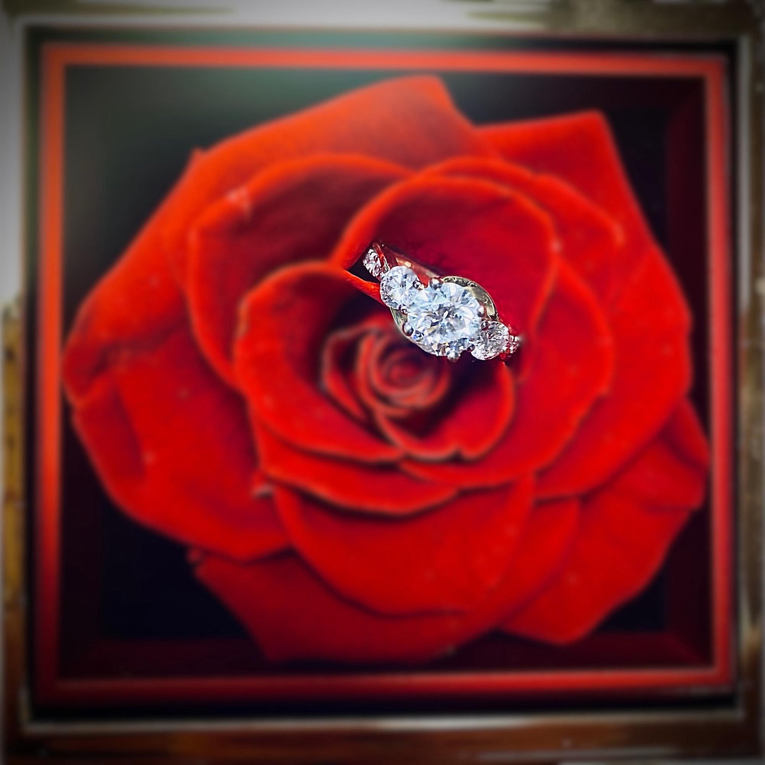 Dani’s ring