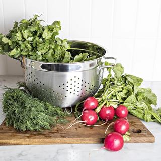 Studio Colander