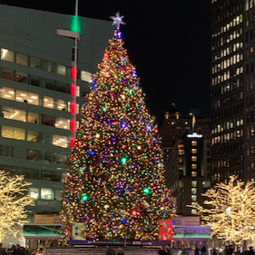 Our tradition each holiday season to attend the tree lighting in downtown Detroit