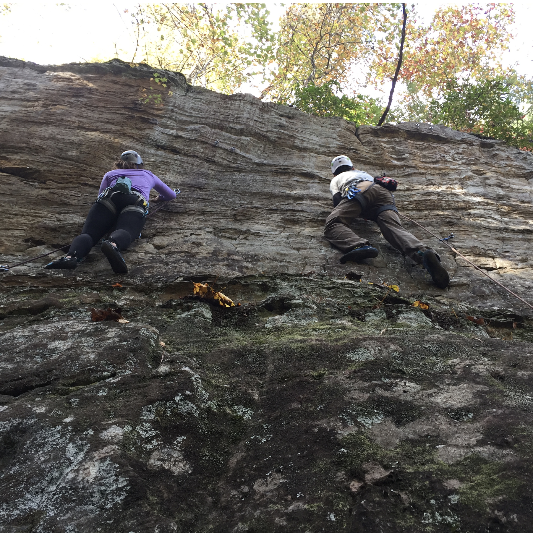 Climbing in Red River Gorge