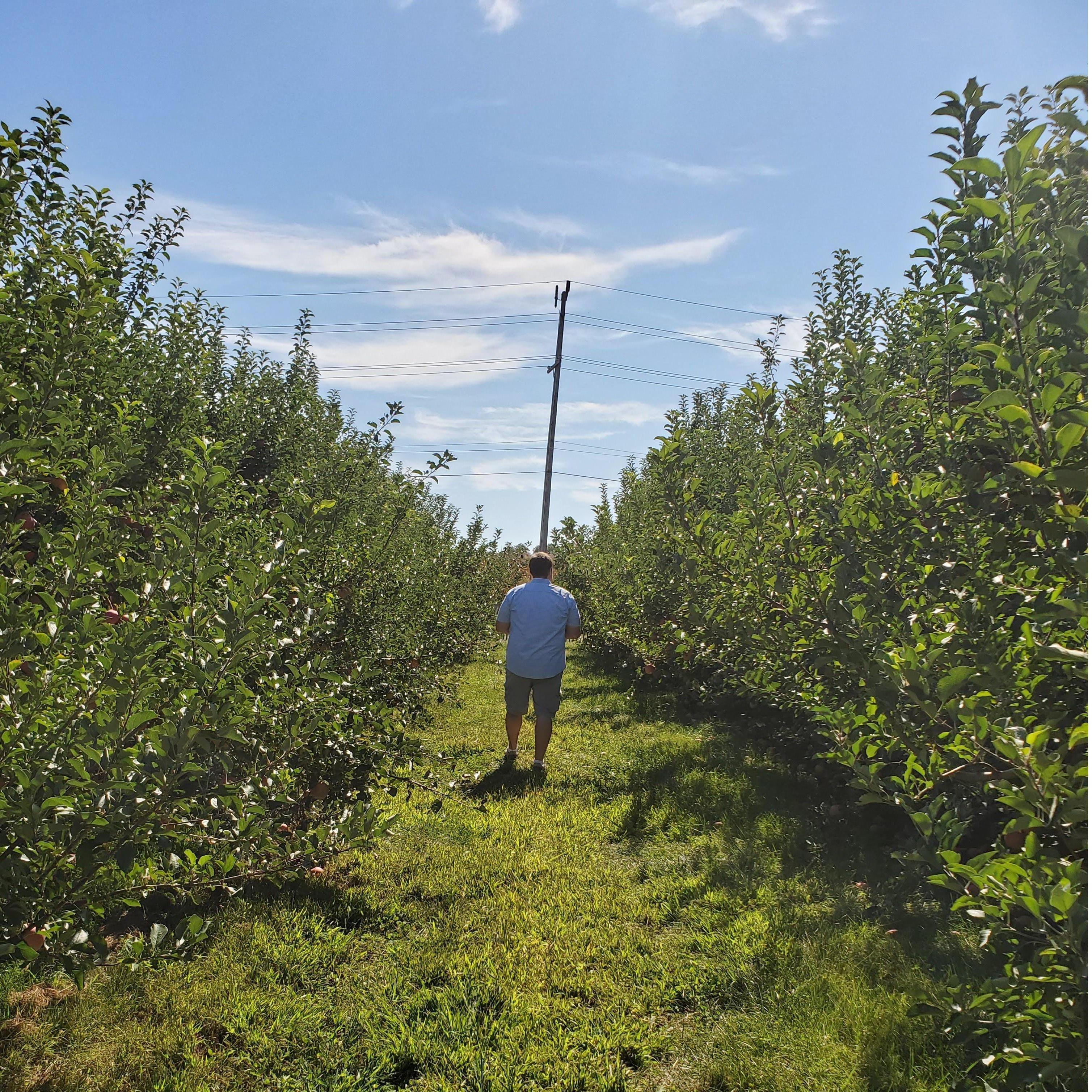 Apple Picking - This was taken about 30 seconds before Mike proposed! | 2019