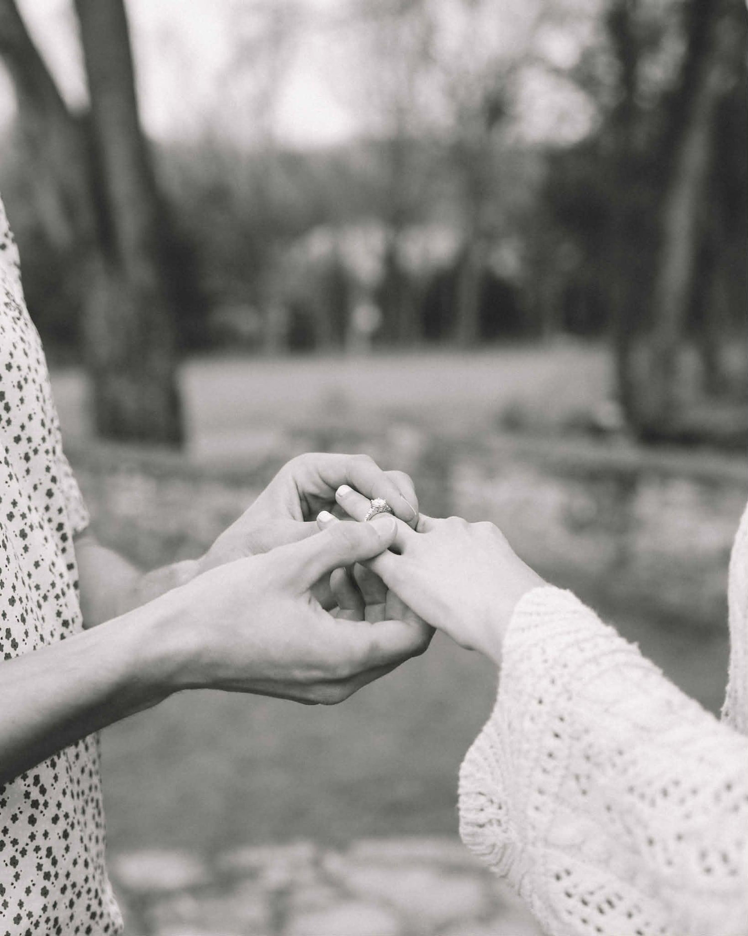 The Wedding Website of Carolyn Petr and Michael Dennison