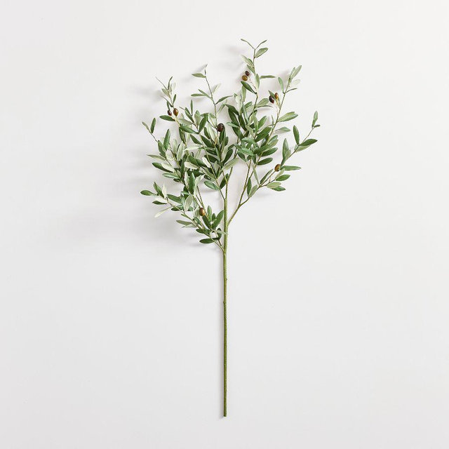 Olive Branch 36"