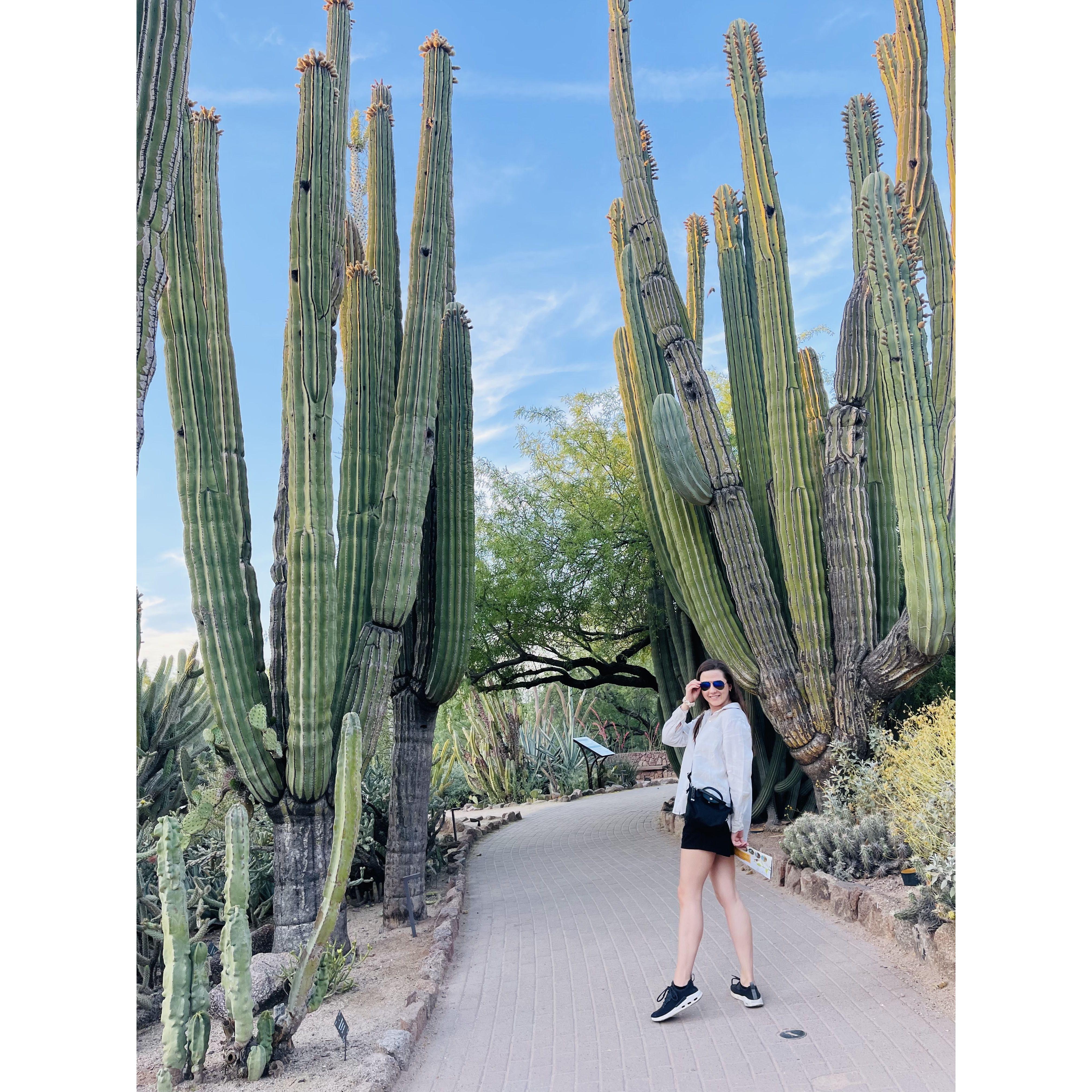 Phoenix, 2023