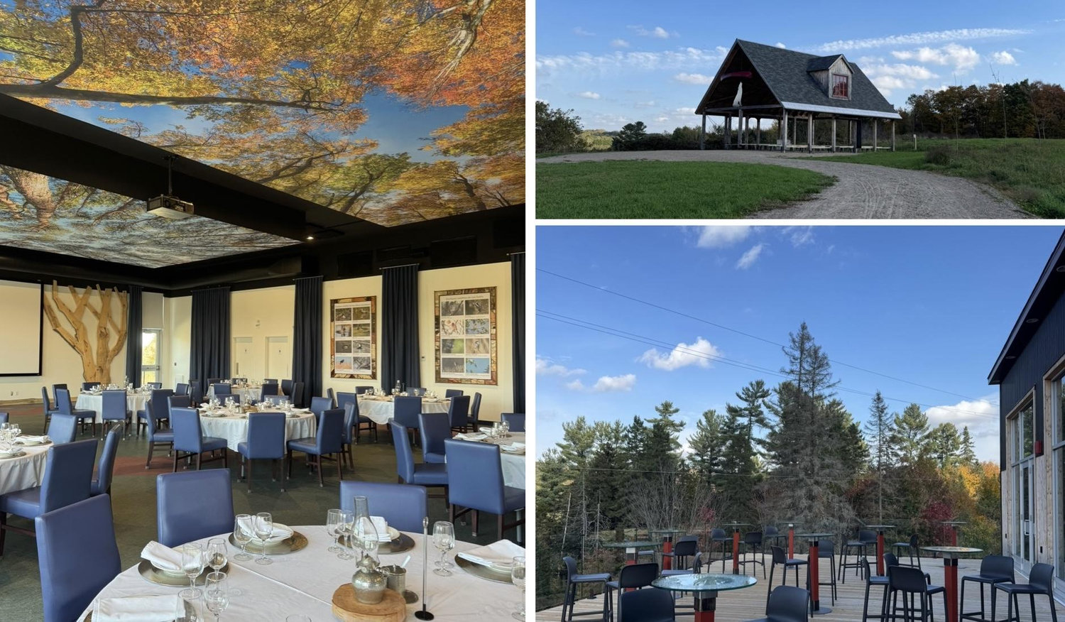 The Wedding Website of Laurie Daigneault and Pierre-Étienne Beaudoin