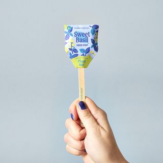 Garden Seed Pop, Set of 6