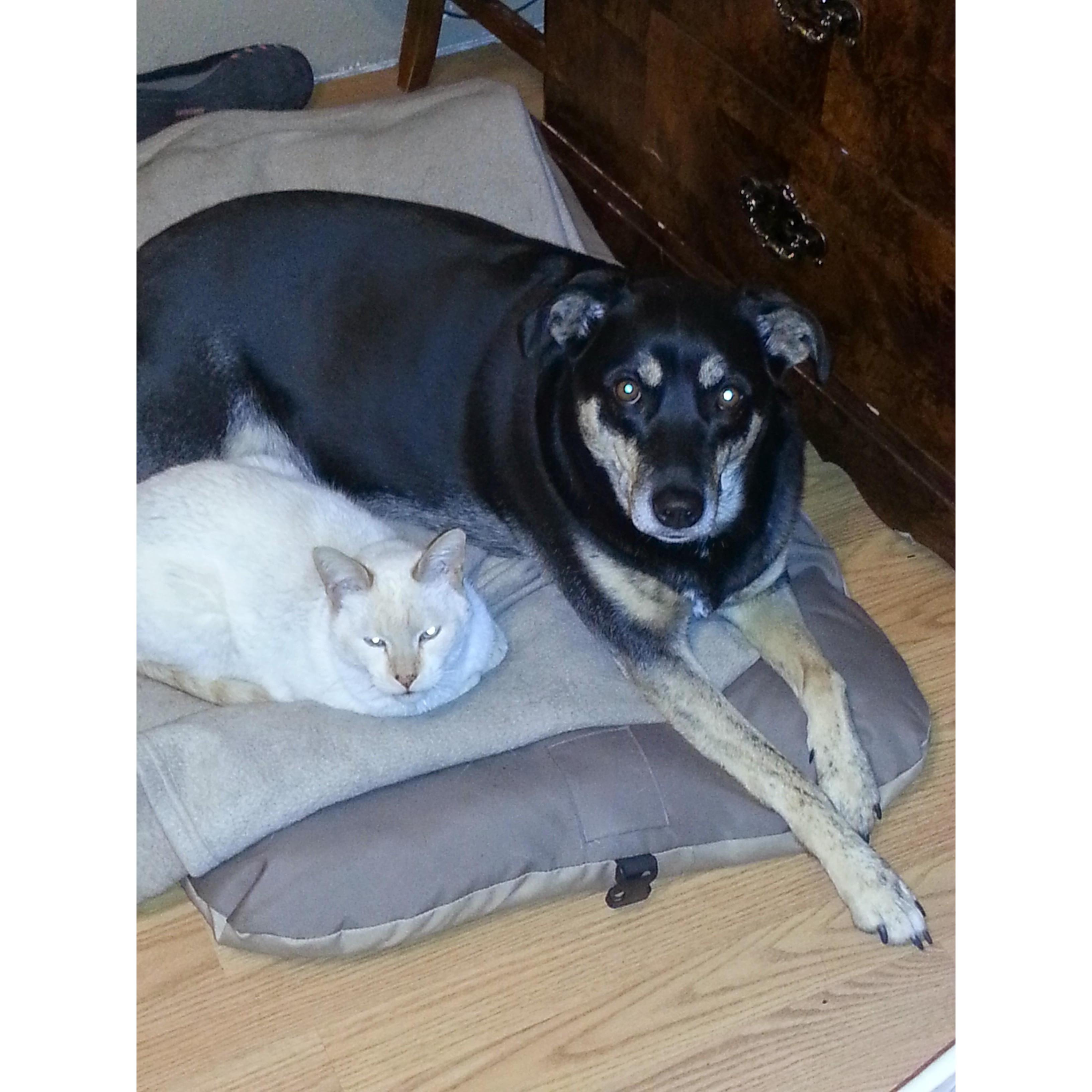 Bff's
